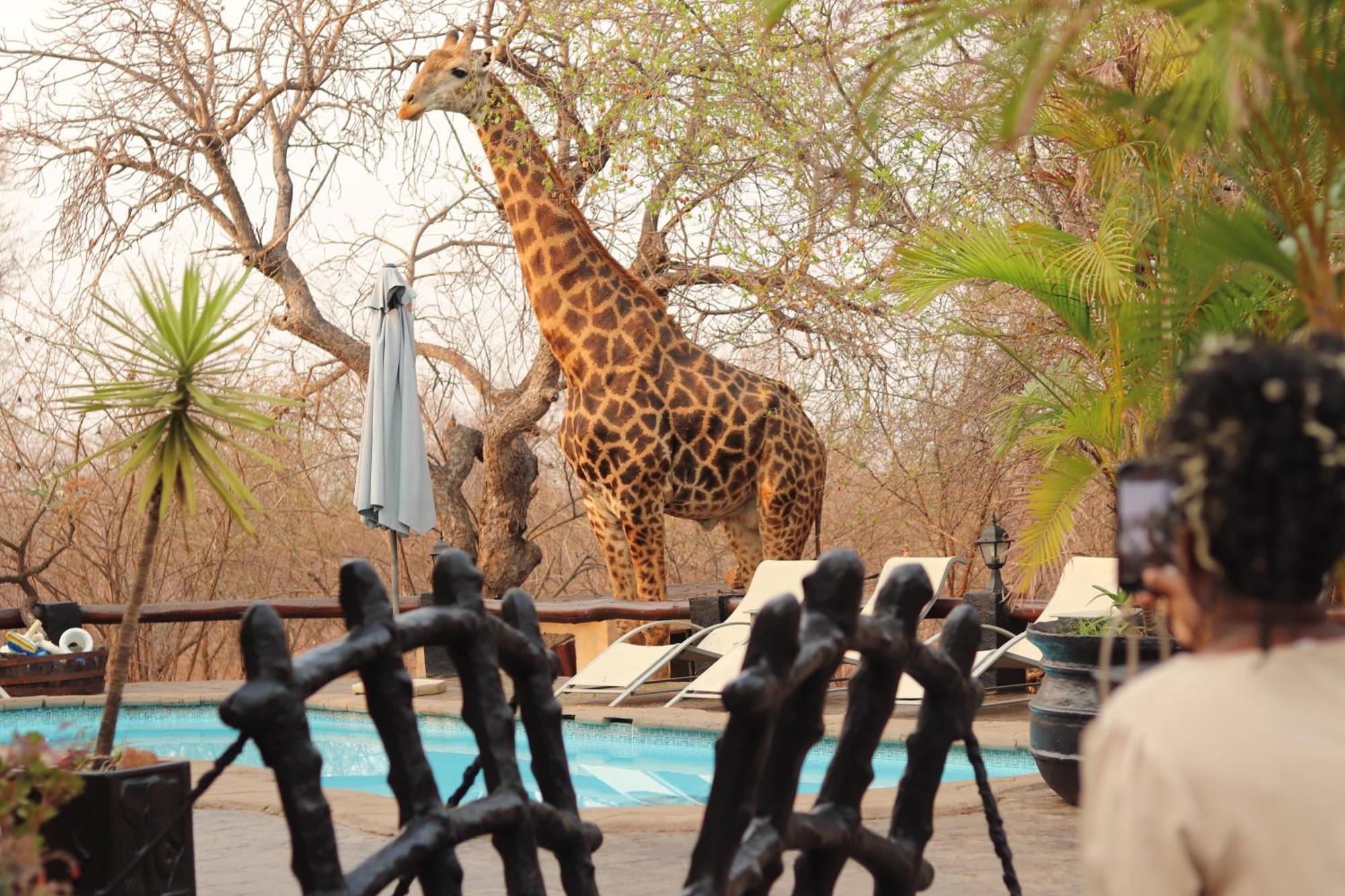 African Rock Lodge Hoedspruit Exterior foto